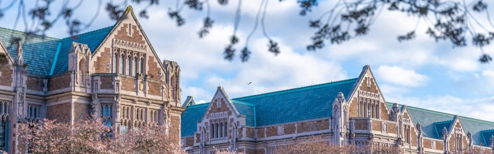 Where to Stay Near UW Seattle: Hotels With Free Breakfast Included